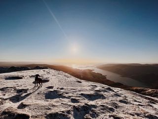 I was joined at the summit by an excited dog